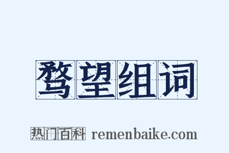 骛望组词是什么意思的图片